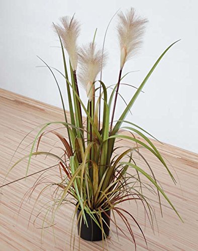 PLANT&STYLE Künstliches Pampasgras, getopft, 80cm, Grün-Braun