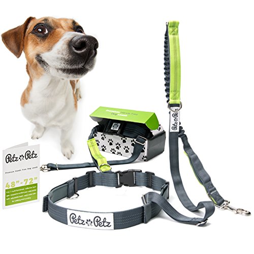 Top 10 Best Reflective Running Gear For Dogs Top Reviews No Place