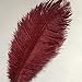 Sowder 20pcs Natural 10-12inch(25-30cm) Ostrich Feathers Plume Wedding Centerpieces Home Decoration(Burgundy)