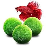 Luffy 3 Giant Marimo Moss Balls (1.5