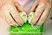 UltraSource 441126-M Disposable Poly Gloves, Food Safe Powder/Latex Free, Clear, Size Medium (Box of 500)