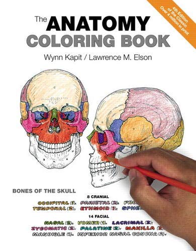 Amazon Com The Anatomy Coloring Book 0642688054786 Wynn Kapit Lawrence M Elson Libros Amazon Com The Anatomy Coloring Book 0642688054786 Wynn Kapit Lawrence M Elson Libros
