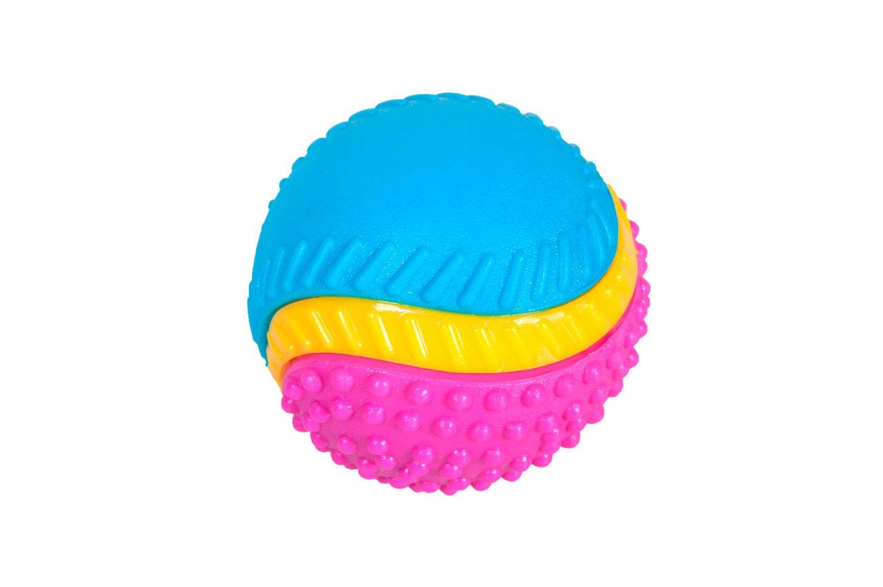 Sharples Beef Scented Five Senses rubber ball for dogs, medium