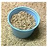 500-Live-Wax-Worms-Bee-Moth-Live-Bait-Ice-Fishing-Reptile-Gecko-Food-waxworms