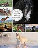 2019 Weekly and Monthly Planner: Horse Collage Daily Organizer -To Do -Calendar in Review/Monthly Calendar with U.S. Holidays-Notes Volume 1 by All In A Day