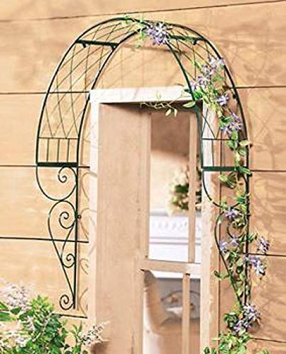 CLP Metall-Rosenbogen Für Die Tür I Rankbogen Mit Dunkelgrüner Beschichtung I Rankhilfe Für Kletterpflanzen I Verzierter… – Bild 3