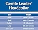 PetSafe Gentle Leader No-Pull Head Collar for Dogs, Dog Head Collar - The Ultimate Solution to Pulling, Padded Nose Loop, Quick-Snap Neck Strap, Dog Halter, Medium - Raspberry Pink