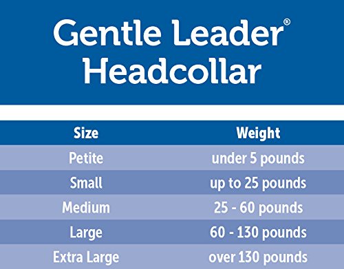 gentle leader harness sizing