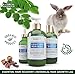 BOTANICAL HAIR GROWTH LAB - Volume Conditioner - Clove Leaf Moringa - Essential Hair Recovery - Scalp Balancing / Revitalizing - For Hair Thinning Prevention Alopecia Postpartum DHT Blocker - 10.2 Oz