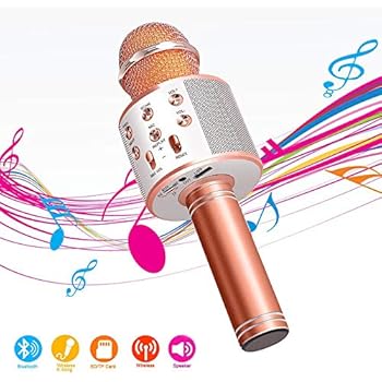 portable speaker microphone system