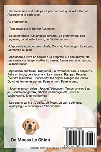 Leducation Du Berger Australien Toutes Les Astuces Pour Un
