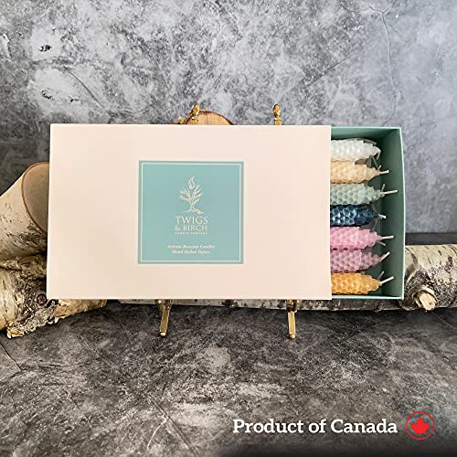 Twigs & Birch Tall Taper Candles Pack (14 Colored Beeswax Candles) 7