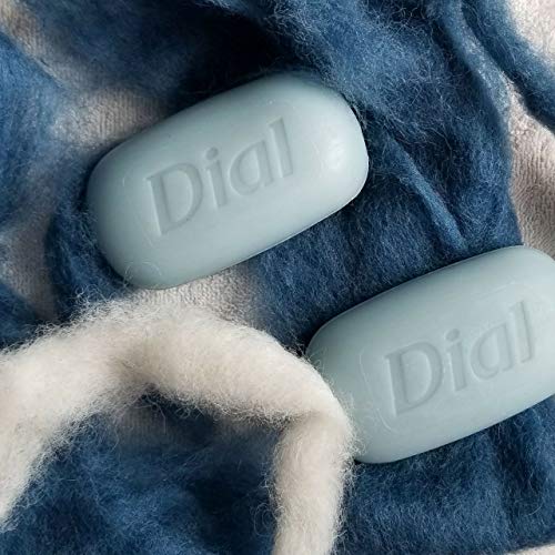 Dial Coconut Water Hand Felted Soap Bar