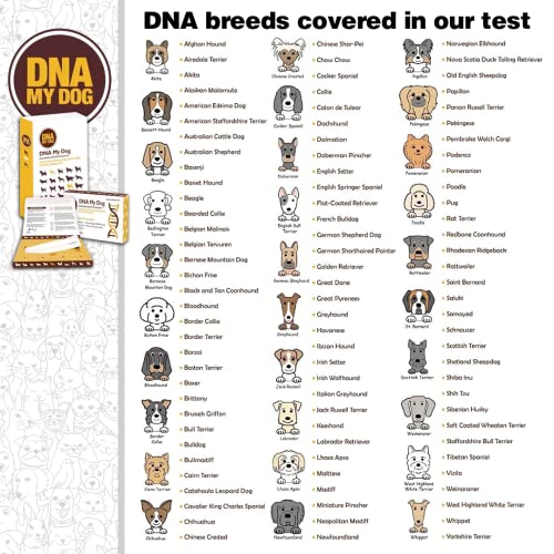 Dna My Dog Testing Kit Mixed Breed Identification