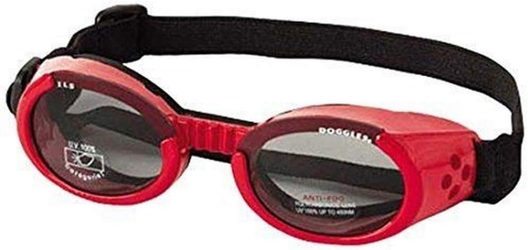 red dog sunglasses