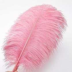 24pcs Natural Lotus Pink Ostrich Feathers 10-12inch