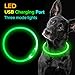 Led Dog Collar, USB Rechargeable Flash Dog Necklace Light, Pet Safety Collar Makes Your Beloved Dogs Be Seen at Night for Small Medium Large Dogsthumb 4
