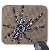Cobalt Blue Tarantula Mouse pad 11.8x9.8In