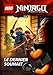 Lego Ninjago Masters of Spinjitzu : Le dernier souhait by 
