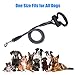 Docamor Dog Leash Pet Rope Leash,1/2 Inch Thick 4 FT Long Anti-Slip Leash Handle and Dog Waste Bag Dispenser,Strong Durable Nylon Rope Walking Training Leash for Small,Medium and Large Dog