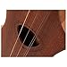 Seagull Merlin M4 G Mahogany Mountain Dulcimer (Numbered Frets)