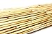 Forever Bamboo Reed Fencing, 6ft H x 16ft L