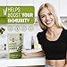 Organic Moringa Oleifera Leaf Powder Help Lower Blood Sugar and Improve Heart Function Natural Vegan Green Superfood Source Of Vitamins , Protein And Calcium-1lb By Organic Wise