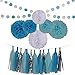 Baby Blue White Lake Blue Tissue Paper Pom Poms Flower Tissue Tassel Garland Circle Tissue Paper Garland Kit-20Pcs (Great for Boy First Birthday Party Wedding Nursery Decorations)
