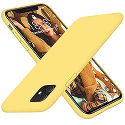 DTTO Compatible with iPhone 11 Case, [Romance