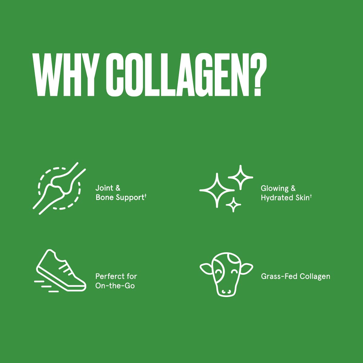 Bulletproof Unflavored Collagen Peptides Powder Packets, Pack of 15, Grass-Fed Collagen Protein and Amino Acids for Skin, Bone and Joint Support, Pasture Raised, No Added Hormones