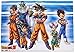 Great Eastern Dragon Ball Z Group Fabric Poster
