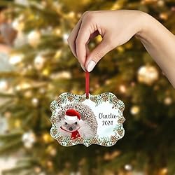 Four Toed Hedgehog Christmas Ornament 2024