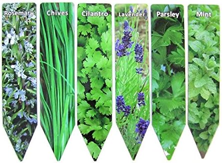 Garden Plant Markers Metal Aluminum Lot of 6 Herbs Rosemary Chives Cilantro Lavender Parsley Mint