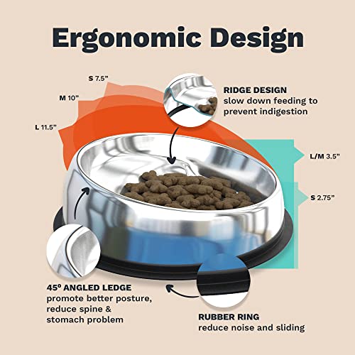 Enhanced Pet Bowl, Stainless Steel Slanted Dog Bowl with Raised Ridge