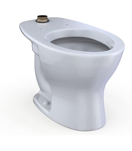 TOTO® NEOREST® WX1™ Dual Flush 1.2 or 0.8 GPF Wall-Hung Toilet