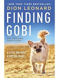 Finding Gobi: A Little Dog with a Very Big Heart
