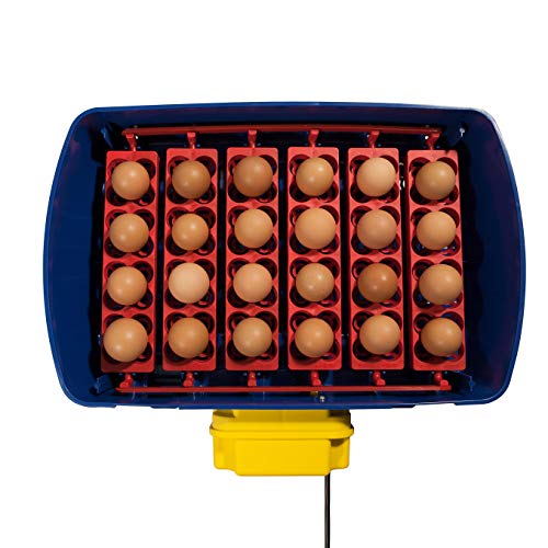 Borotto Real 24 Expert | Brutautomat Vollautomatisch Professionelle für 24 oder 96 Kleine Eier, Automatischem Eierwendemechanismus, Temperaturregelung, Luftbefeuchter Sirio | Hergestellt in Italien – Bild 7