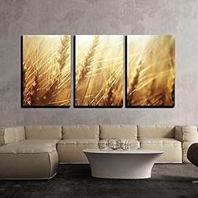 3 Piece Canvas Wall Art - Golden Wheat Field and Sunny Day - Modern Home Art Stretched and Framed Ready to Hang - 16"x24"x3 Panels