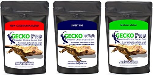 Fruit Medley Gecko Pro Complete Diet