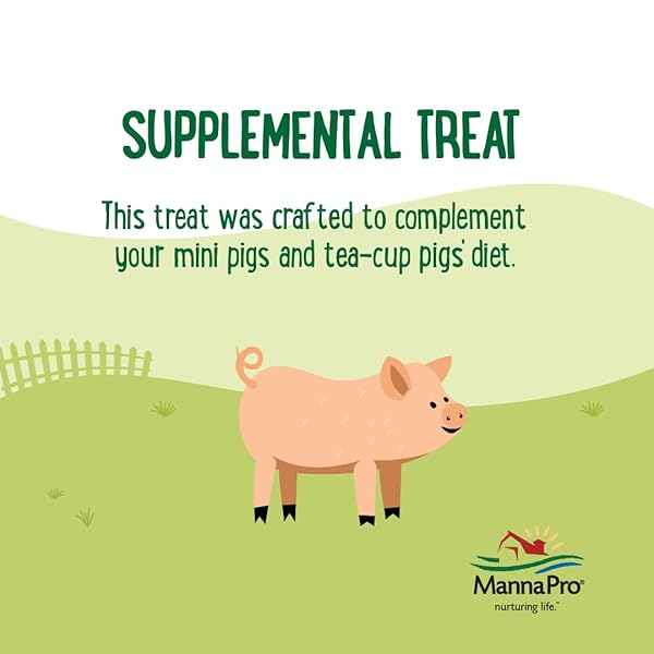 MANNA PRO FARMHOUSE FAVORITES MINI PIG TREATS, BAKED SNACK FOR MINI AND TEACUP PIGS, HAND-MIXED, PEANUT BUTTER FLAVORED, SUPPORTS TRAINING AND BONDING, PREMIUM TREATS FOR SMALL PIGS, 3 LB BAG