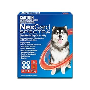 nexgard spectra uk