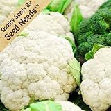 200+ Seeds, Cauliflower 