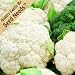 200+ Seeds, Cauliflower "Snowball Y Improved" (Brassica oleracea) Seeds By Seed Needs