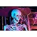 5 ft. Poseable Skeleton with LED Illumination