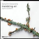 TREMBLING AIR                                      image