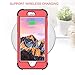 iPhone 8 Case, iPhone 7 Case, BENTOBEN Heavy Duty Shockproof 3 in 1 Slim Hybrid Hard PC Soft Silicone Rubber Bumper Rugged Protective Phone Case Cover for iPhone 8 /iPhone 7 (4.7