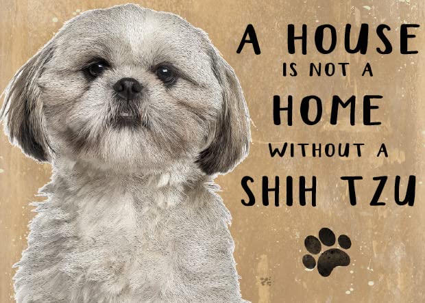 Small (150 x 200mm) Metal Sign - A House is Not a Home - Shih Tzu