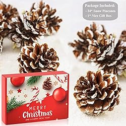 24 PCS Pine Cones for Christmas Tree Snowflake