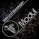 Modul