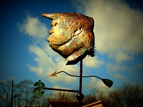 Donald Trump Weathervane